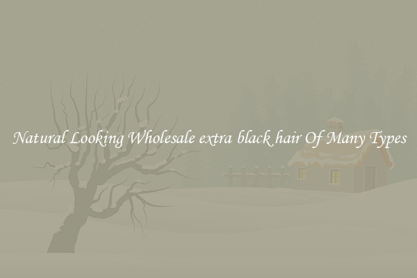 Natural Looking Wholesale extra black hair Of Many Types