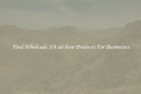 Find Wholesale 3/8 air hose Products For Businesses