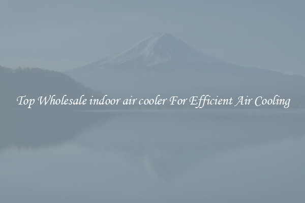 Top Wholesale indoor air cooler For Efficient Air Cooling