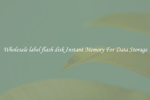 Wholesale label flash disk Instant Memory For Data Storage