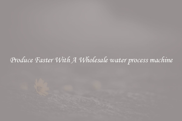 Produce Faster With A Wholesale water process machine
