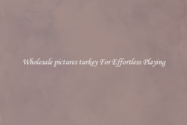 Wholesale pictures turkey For Effortless Playing