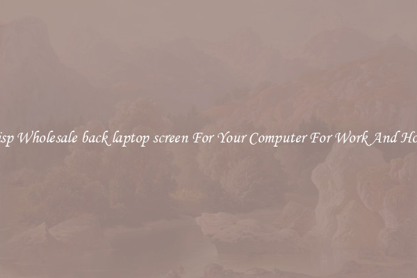 Crisp Wholesale back laptop screen For Your Computer For Work And Home