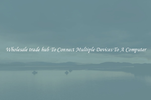 Wholesale trade hub To Connect Multiple Devices To A Computer