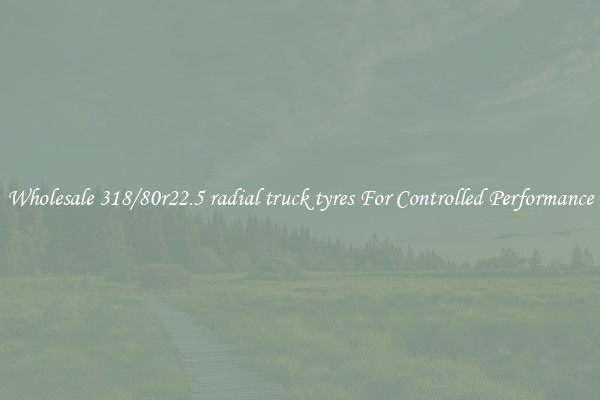 Wholesale 318/80r22.5 radial truck tyres For Controlled Performance