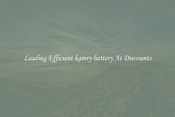Leading Efficient kamry battery At Discounts