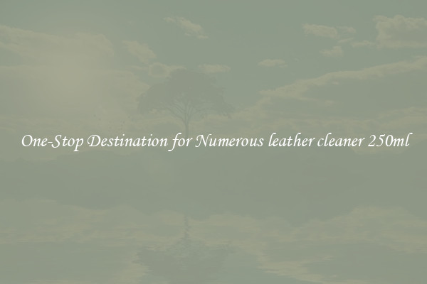 One-Stop Destination for Numerous leather cleaner 250ml