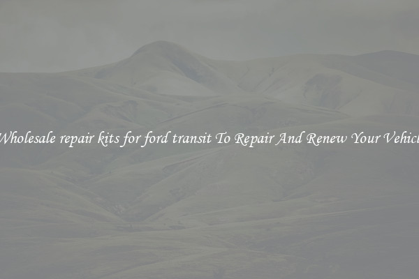 Wholesale repair kits for ford transit To Repair And Renew Your Vehicle