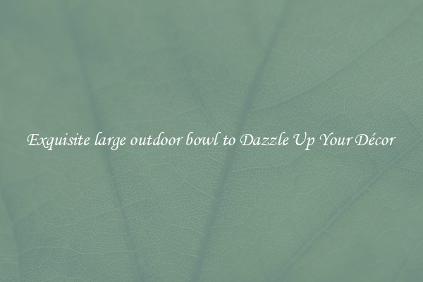 Exquisite large outdoor bowl to Dazzle Up Your Décor 