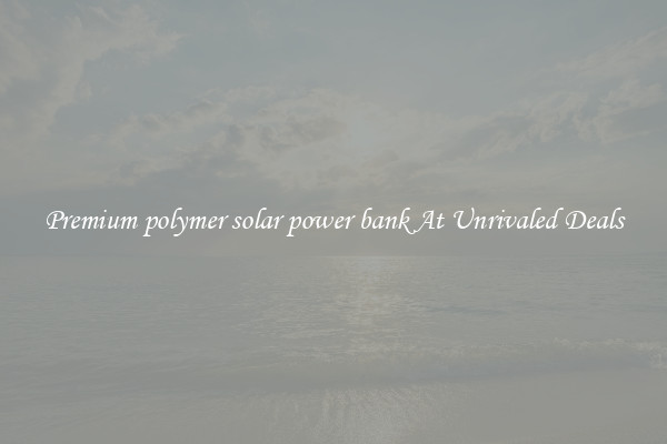 Premium polymer solar power bank At Unrivaled Deals