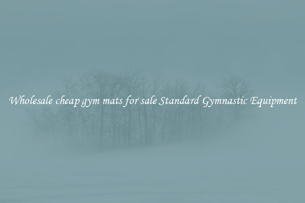 Wholesale cheap gym mats for sale Standard Gymnastic Equipment