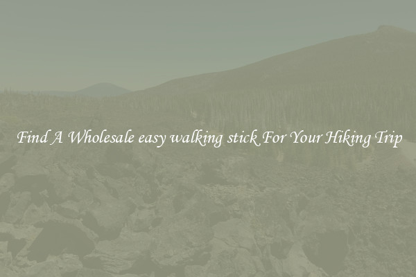 Find A Wholesale easy walking stick For Your Hiking Trip