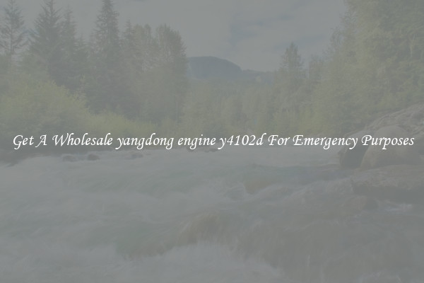 Get A Wholesale yangdong engine y4102d For Emergency Purposes
