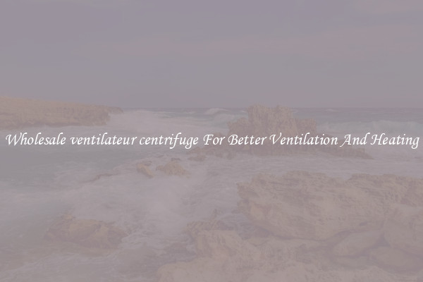 Wholesale ventilateur centrifuge For Better Ventilation And Heating