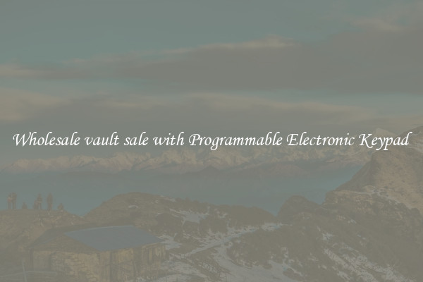 Wholesale vault sale with Programmable Electronic Keypad 