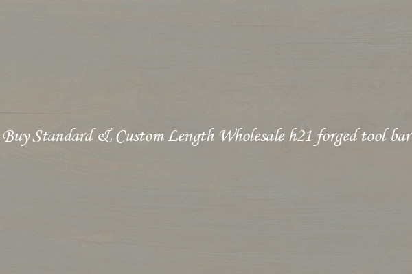 Buy Standard & Custom Length Wholesale h21 forged tool bar