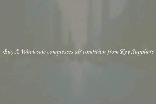 Buy A Wholesale compresses air condition from Key Suppliers