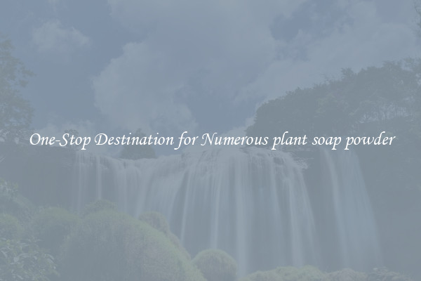 One-Stop Destination for Numerous plant soap powder