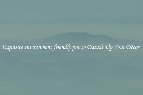 Exquisite environment friendly pot to Dazzle Up Your Décor  