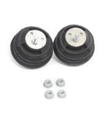 BMW Engine Mount Kit - 22116750820KT1